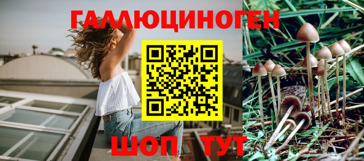 Псилоцибиновые грибы ЛСД  Вход с VPN  Великий Новгород 